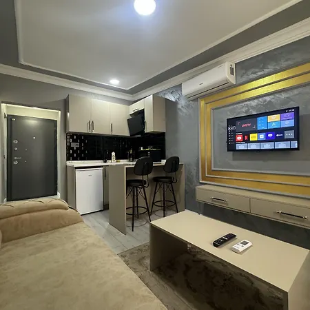 Ottoman Style فندق